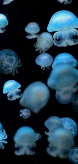 Ethereal blue jellyfish floating on a dark ocean background for mobile wallpaper.