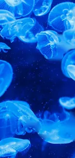 Glowing blue jellyfish cluster in an underwater scene, ideal for ocean lovers.