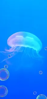 Serene blue ocean wallpaper featuring a jellyfish.