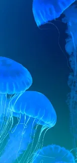 Mobile wallpaper featuring glowing blue jellyfish in a serene, aquatic setting.