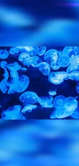 Vibrant blue jellyfish swimming in an ocean-themed mobile wallpaper.