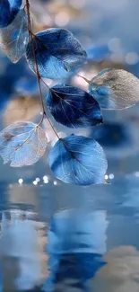 Beautiful blue leaves reflecting on calm water surface with a peaceful background.