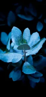 Wallpaper with glowing blue leaves on a dark background.