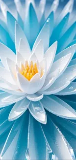 Blue lotus flower with white petals and yellow center on a mobile wallpaper.