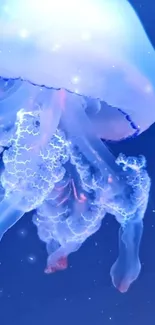 Luminous jellyfish in dark blue ocean background.