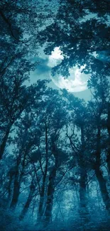 Moonlit forest with a blue hue and serene atmosphere.