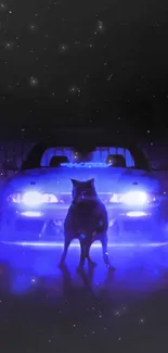 Wolf stands before a car with blue neon lights in the dark.