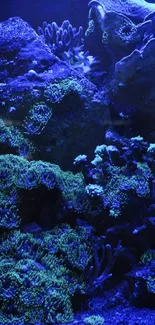 Deep ocean blue coral reef scene with vibrant marine life.