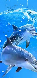 Two dolphins swimming in blue ocean water wallpaper.