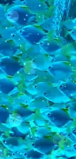 Vibrant blue fish underwater wallpaper with oceanic theme.