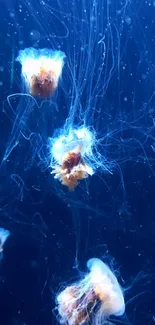 Ethereal jellyfish drifting in a deep blue ocean.