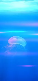 Luminescent jellyfish in a tranquil blue ocean wallpaper.