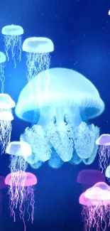 Serene jellyfish floating in deep blue ocean wallpaper.