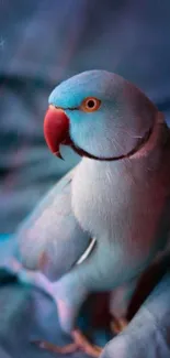 Blue parakeet against a dreamy background.