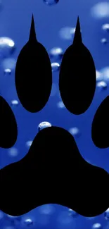 Black paw print on a blue background with bubbles.