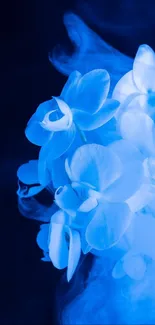 Blue Petal Flower Live Wallpaper