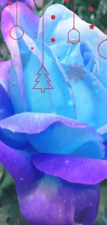 Blue and purple rose with Christmas decorations.