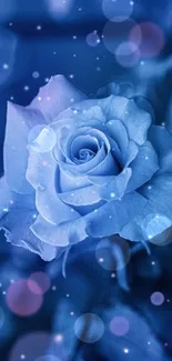 Elegant blue rose with bokeh lights wallpaper.