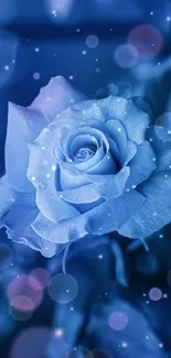 Blue rose mobile wallpaper with dreamlike elegance.