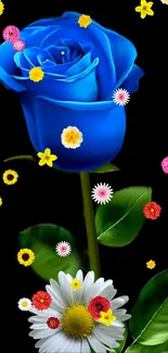 Blue rose with colorful flowers on a black background wallpaper.