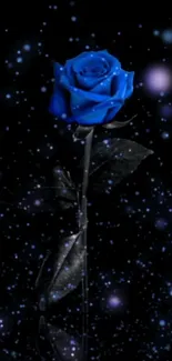 Blue rose amidst a starry, dark cosmic backdrop.