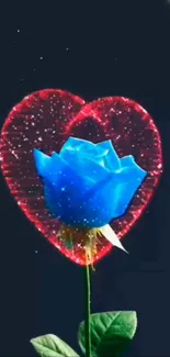 Blue rose with heart background.