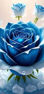 Stunning blue rose with ice cubes on background.