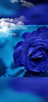 Vibrant blue rose with clouds in the sky.