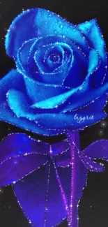 Blue rose with sparkling effect on a black background.