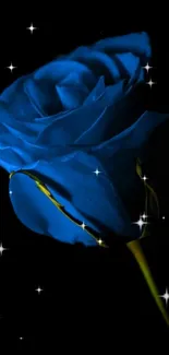 Blue rose with sparkling stars on a dark background.