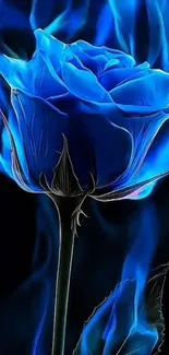 A vibrant blue rose with fiery blue glows, creating an elegant and mysterious wallpaper.
