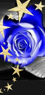 Blue rose with gold stars on dark background wallpaper.