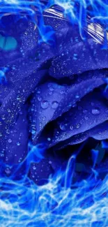 Blue rose with droplets and electric background.