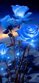 Glowing blue roses against a dreamy, night landscape.