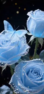 Blue roses with a butterfly and water droplets.