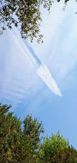 Clear sky with wispy clouds and green foliage.