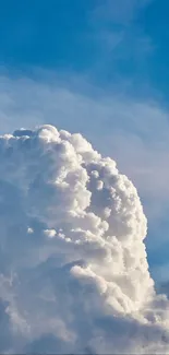 Fluffy white clouds against a blue sky, perfect for a serene mobile wallpaper.