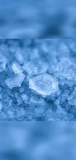 Close-up view of intricate blue snowflakes forming a crystalline pattern.