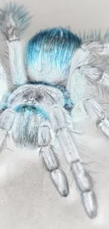 Blue tarantula on dark background for a striking mobile wallpaper.