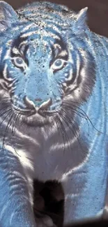 Artistic blue-toned tiger portrait wallpaper.