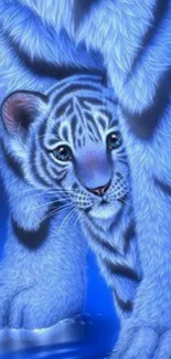 Blue tiger cub illustration with vibrant colors and detailed fur design.