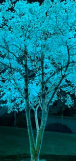 Glowing blue tree at night with cyan hues.