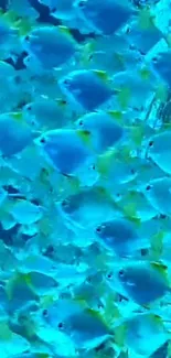 Blue tropical fish swimming in a vibrant ocean scene.