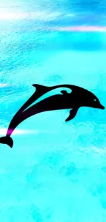 Silhouette dolphin over blue water with neon accents.