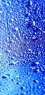 Blue wallpaper with detailed water droplets.