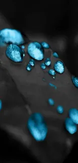 Blue water droplets on a dark leaf wallpaper.