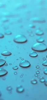 Blue wallpaper featuring serene water droplets in close-up.