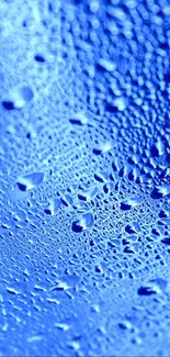 Blue water droplets on a textured surface highlighted with soft lighting.