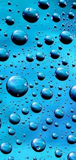 Vivid blue water droplets on a gradient background mobile wallpaper.