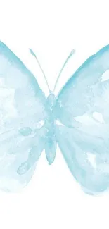 Light blue watercolor butterfly on white background.